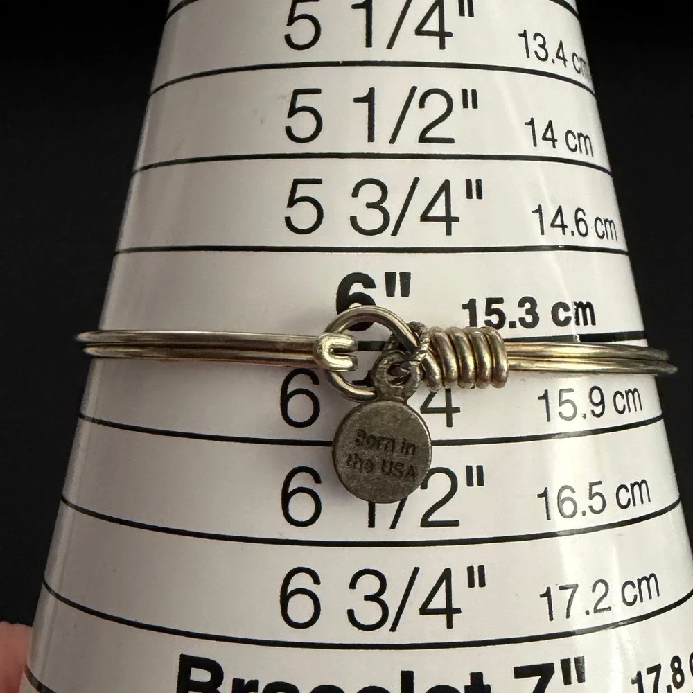 Butterfly Bangle Bracelet Silver Tone Iridescent Luca + Danni